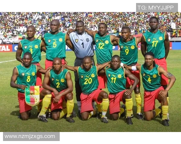 喀麦隆足球球星最新排名揭晓 这些球员在国际舞台上大放异彩