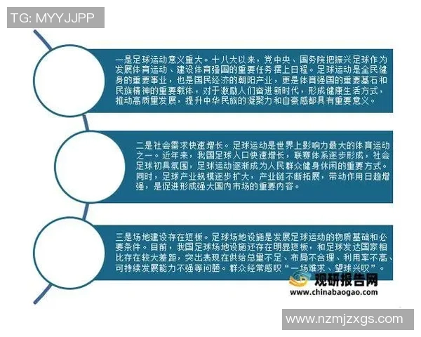 光头足球球星的成长历程与场上风采解析 光头足球球星的成长历程与场上风采解析